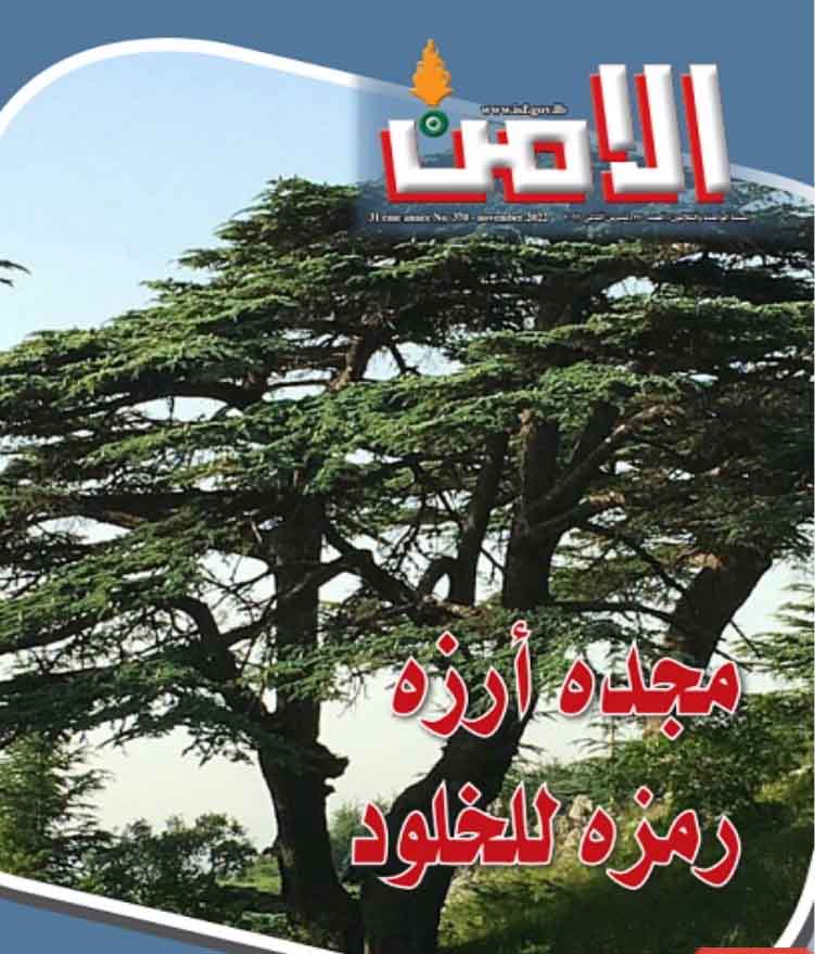 مصيري المحتوم  حين يصيبنا القدر من الجاني ؟